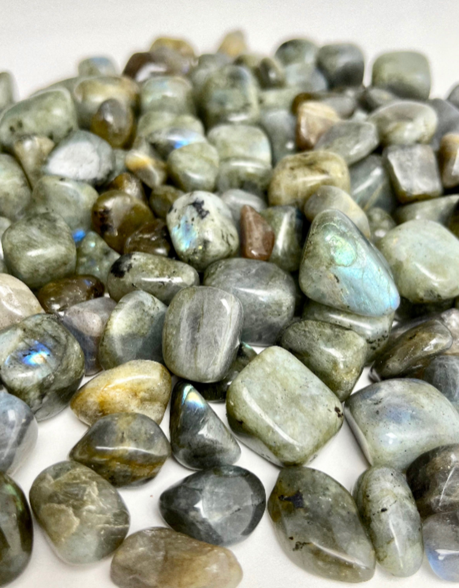 Labradorite Tumbled | 10-35MM | Madagascar