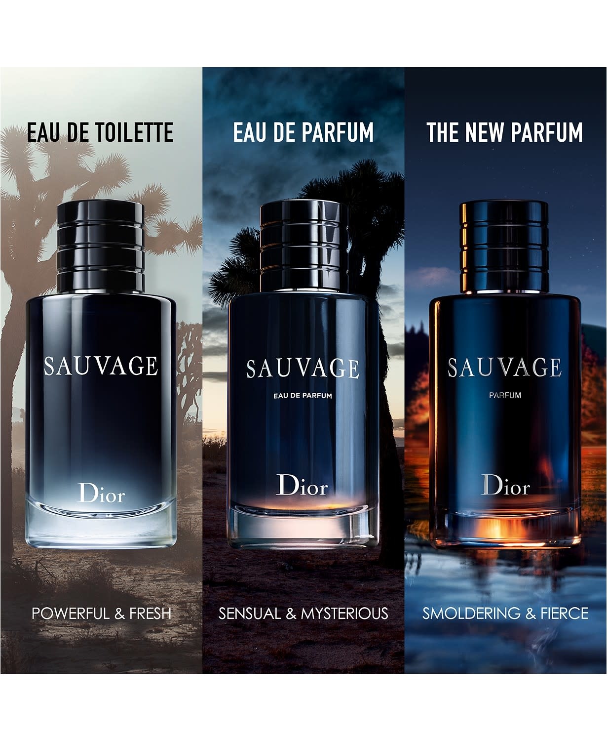 Christian Dior for Men Sauvage Eau de Toilette The Scent Masters