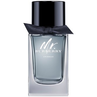Burberry Mr. Burberry Indigo Eau de Toilette for Men