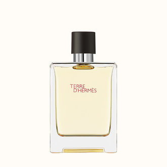 Hermes Terre D'Hermes Eau de Toilette for Men