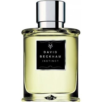 David Beckham Instinct Eau de Toilette for Men
