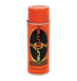 SUNLITE SUNLT POLISH 13oz AEROSOL