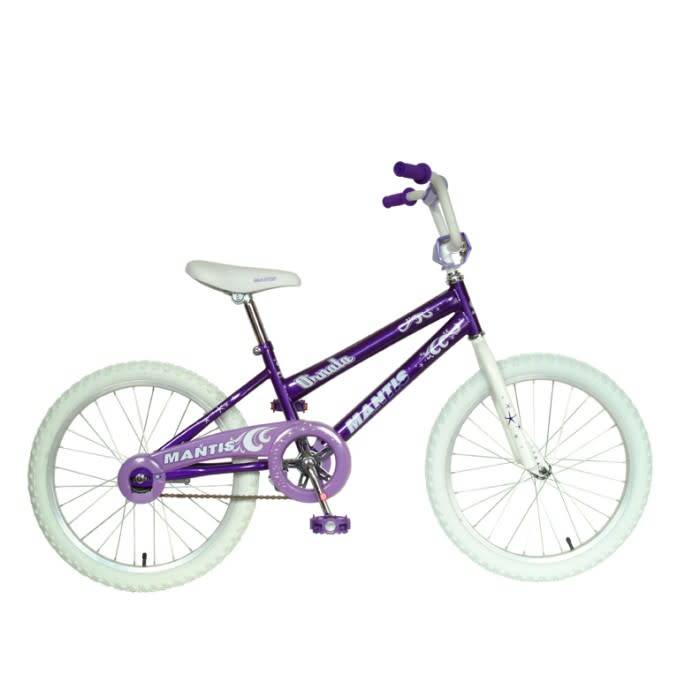 purple bike kids
