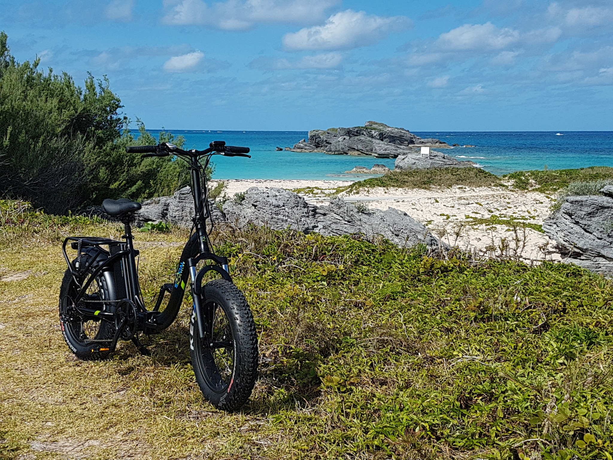 Rental Bike EBIKE Tour Shelly Bay Social Cycles
