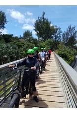 SOCIAL CYCLES Bermuda E-Bike Railway Trail & Beach Adventure