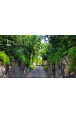 SOCIAL CYCLES Bermuda E-Bike Railway Trail & Beach Adventure