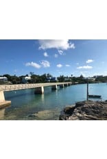 SOCIAL CYCLES Bermuda E-Bike Railway Trail & Beach Adventure