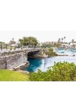 SOCIAL CYCLES Bermuda E-Bike Railway Trail & Beach Adventure