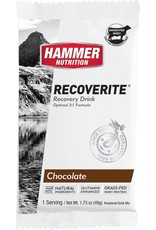 Hammer Nutrition Hammer Nutrition Recoverite Chocolate 12 Pack single