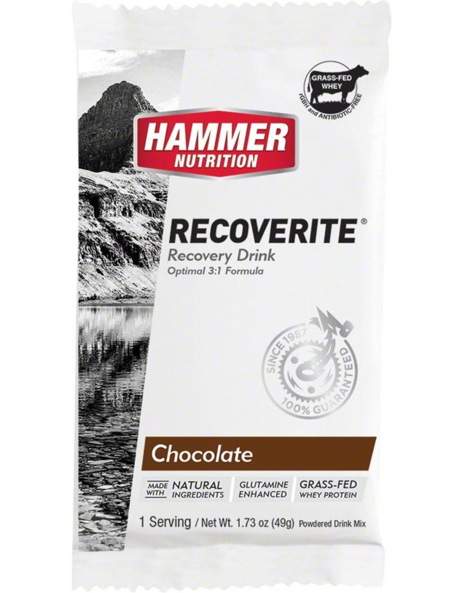 Hammer Nutrition Hammer Nutrition Recoverite Chocolate 12 Pack single