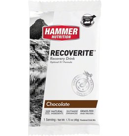 Hammer Nutrition Hammer Nutrition Recoverite Chocolate 12 Pack single