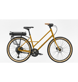 SOCIAL CYCLES FEE Rental Bike EBIKE HYBRID