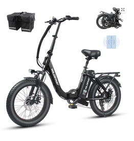 WILDEWAY FW11s Black eBIKES  Fat Bike