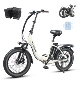 WILDEWAY FW11s White eBIKES  Fat Bike