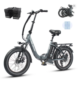 WILDEWAY FW11s Grey eBIKES  Fat Bike