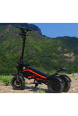 SOCIAL CYCLES E2E Rental Fat Wheel Trike Long Range Battery