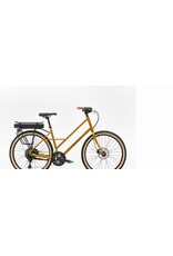 SOCIAL CYCLES E2E Rental Bike e Hybrid
