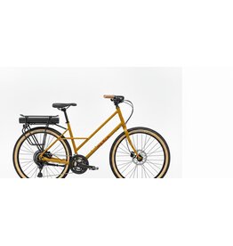 SOCIAL CYCLES E2E Rental e Hybrid Mid Drive Bike