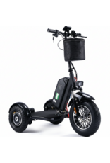 SOCIAL CYCLES E2E Rental eTrike Fat Wheel Long Range Battery