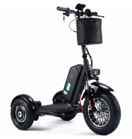 SOCIAL CYCLES E2E Rental eTrike Fat Wheel Long Range Battery