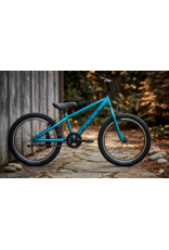 Marin Marin DONKY JR 20" 1SP AQUA BLUE Kid