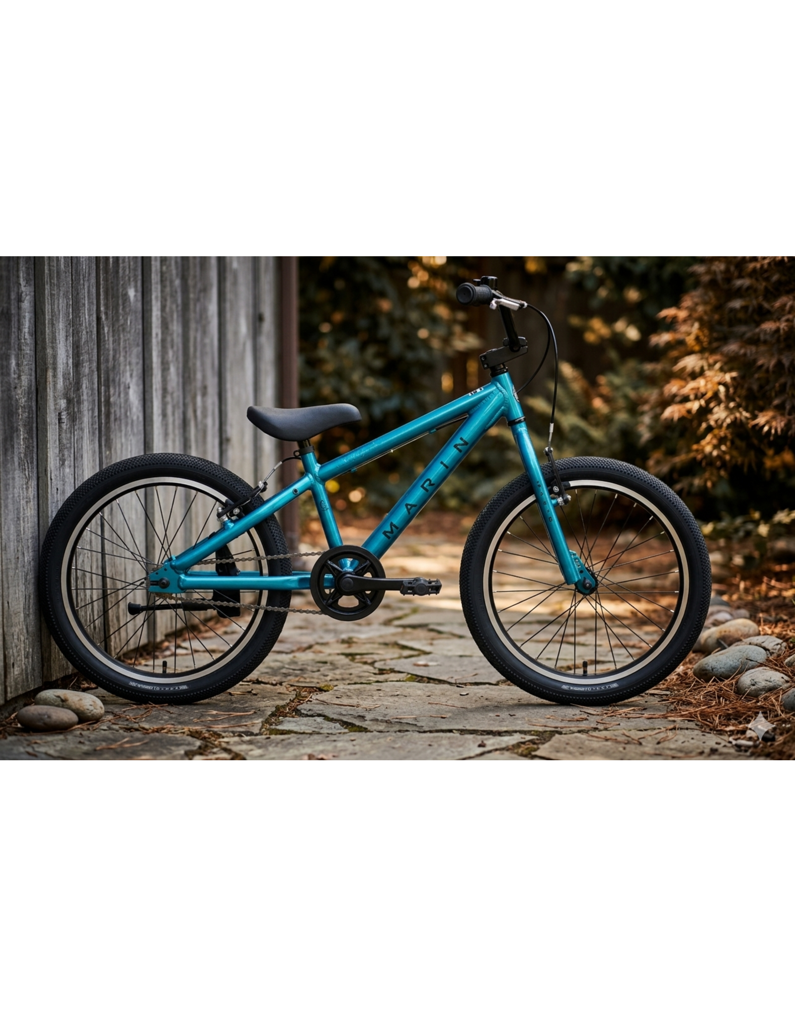 Marin Marin DONKY JR 20" 1SP AQUA BLUE Kid