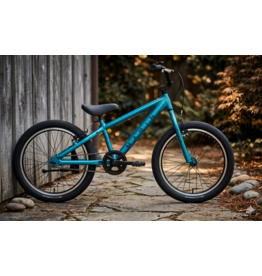 Marin Marin DONKY JR 20" 1SP AQUA BLUE Kid