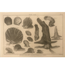 SPV Original Lithograph Black and White Sea life 1700s