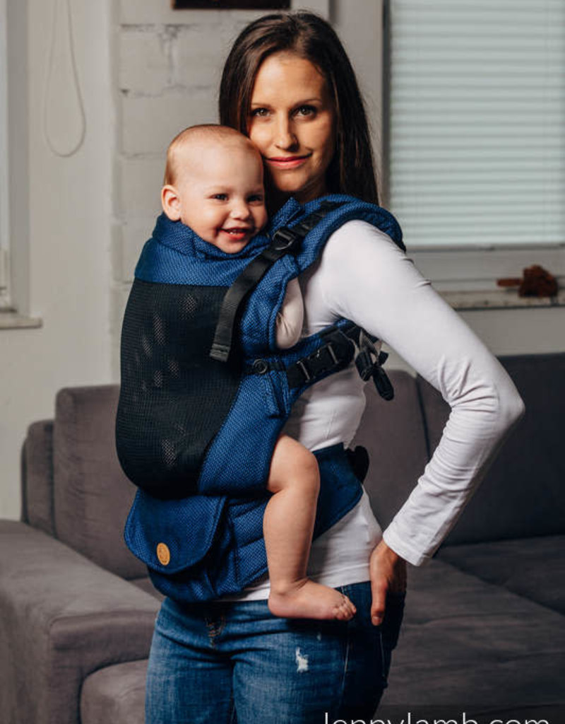 lenny lamb toddler carrier