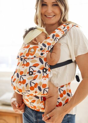 tula preschool carrier