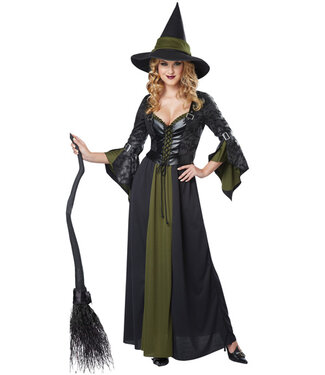 CALIFORNIA COSTUMES Classic Witch Costume - Women's