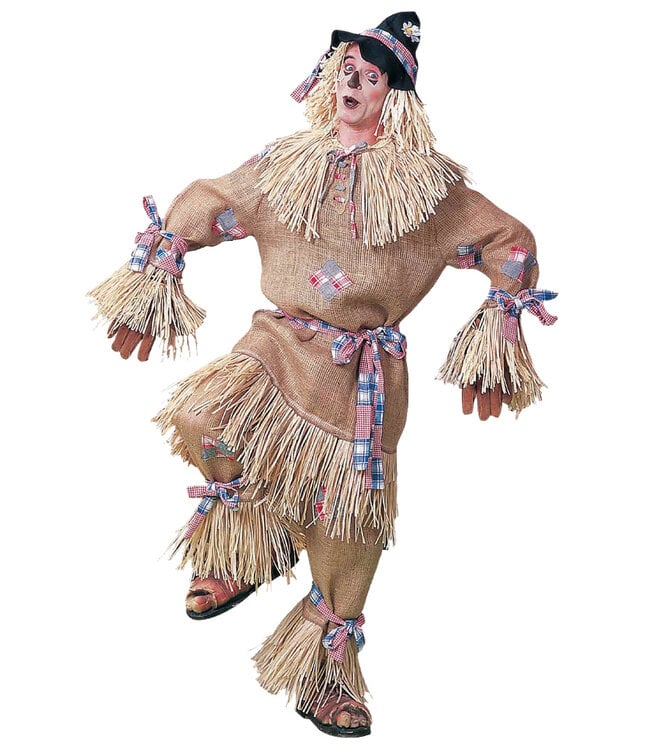 Forum Novelties Scarecrow Costume - Men's