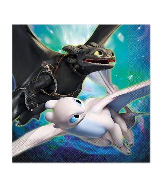 UNIQUE INDUSTRIES INC How to Train Your Dragon Luncheon Napkins - 16ct