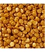 WILTON Gold Cake Sequins, 10oz.