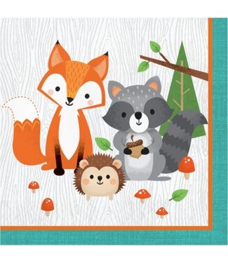 Creative Converting 16CT LUN WILD ONE
