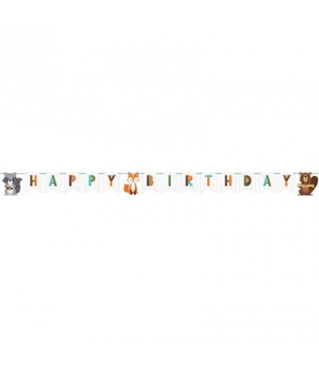 Creative Converting RIBBON BANNER WILD ONE