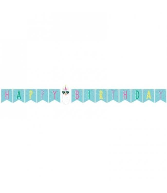 Creative Converting Llama Party Birthday Pennant Banner