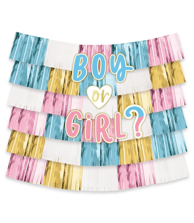 The Big Reveal Backdrop Decorating Kit