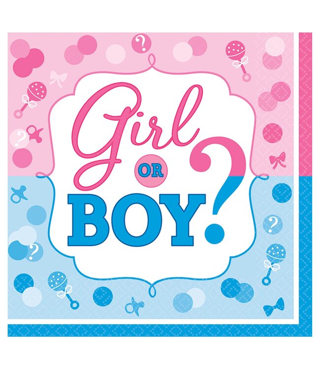 Girl or Boy? Lunch Napkins - 16ct