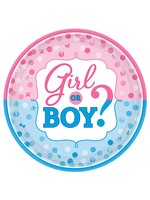 Girl or Boy? Dinner Plates - 8ct