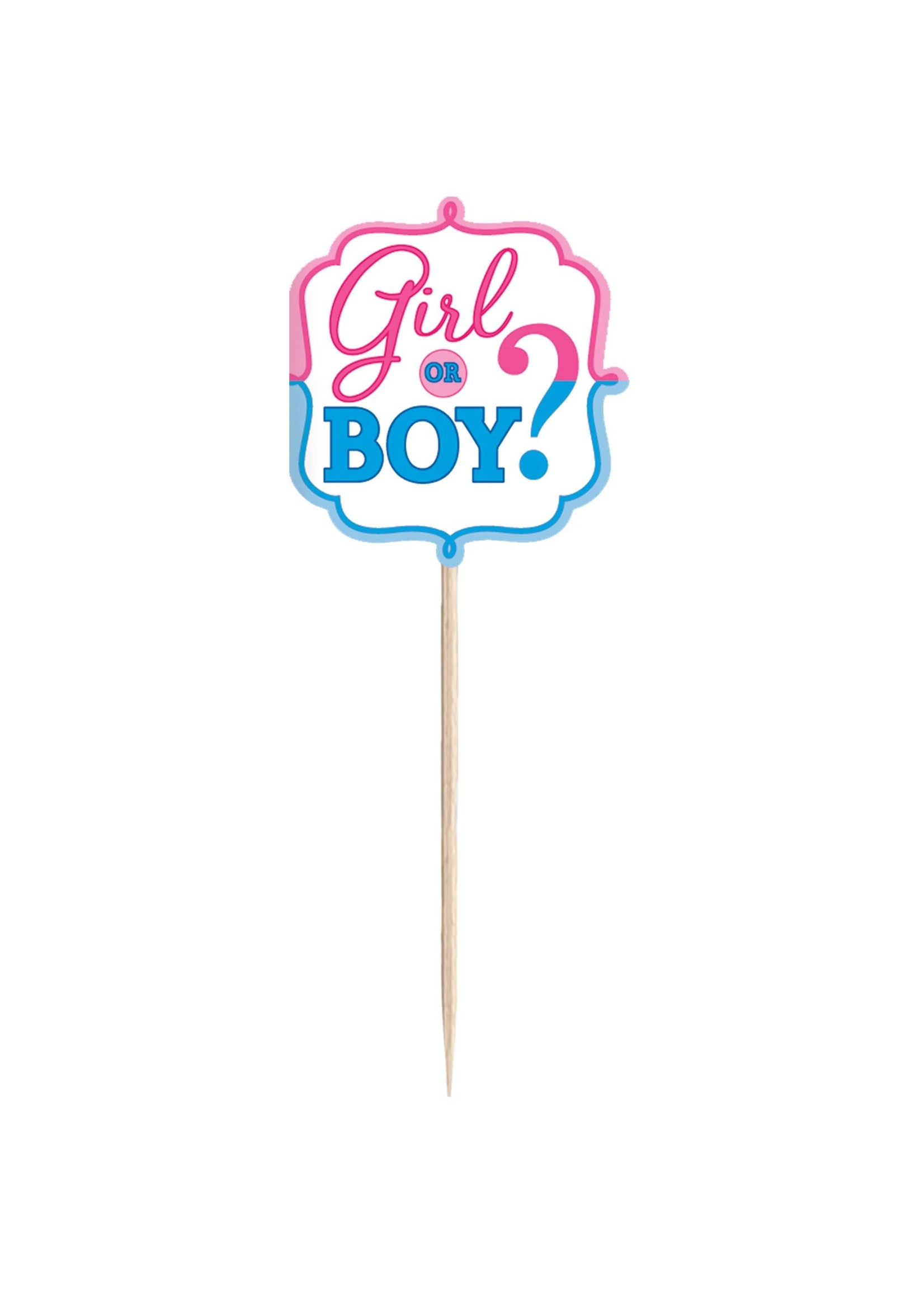 Girl or Boy? Party Picks - 36ct