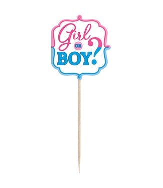 Girl or Boy? Party Picks - 36ct