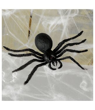 Big Plastic Spider & Polyester Web