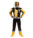 DISGUISE Power Rangers Gold - Boys