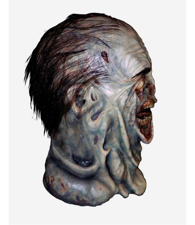 TRICK OR TREAT The Walking Dead: Mush Walker Mask