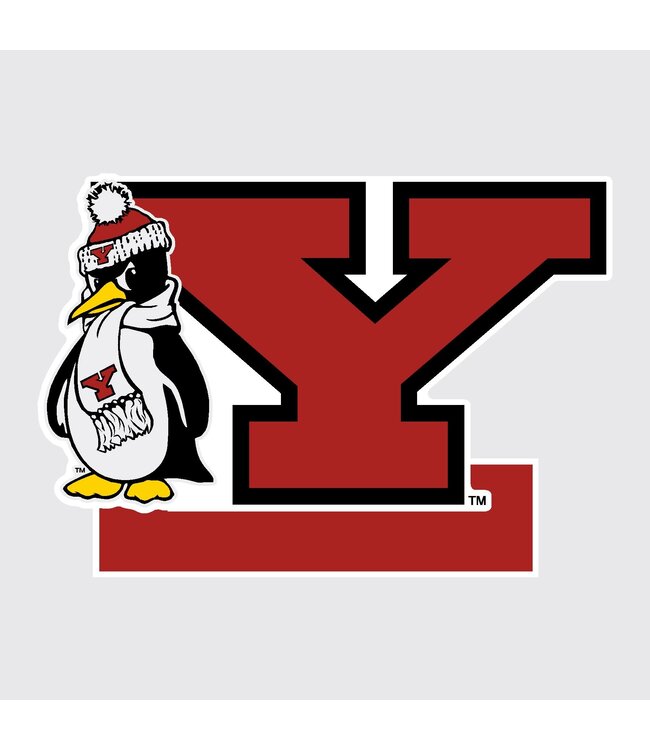 CDI CORPORATION Youngstown State University Mascot Standee