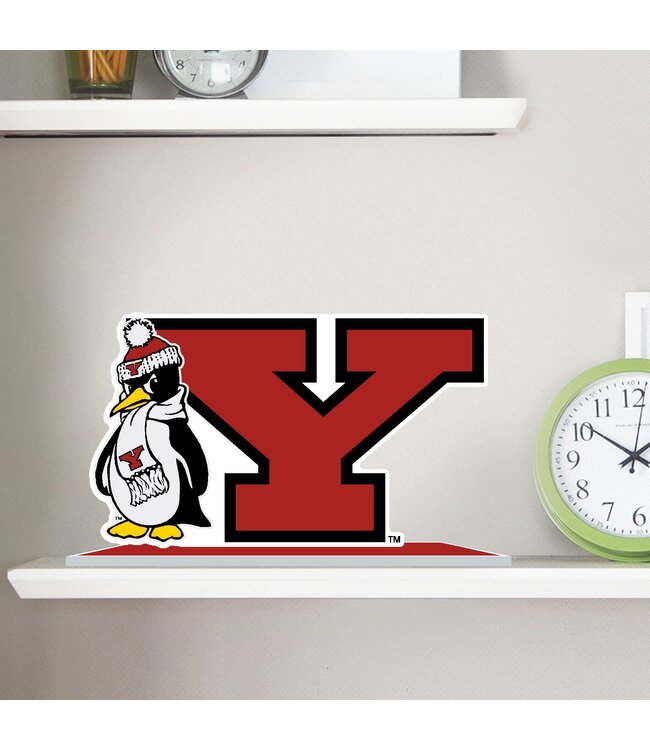CDI CORPORATION Youngstown State University Mascot Standee
