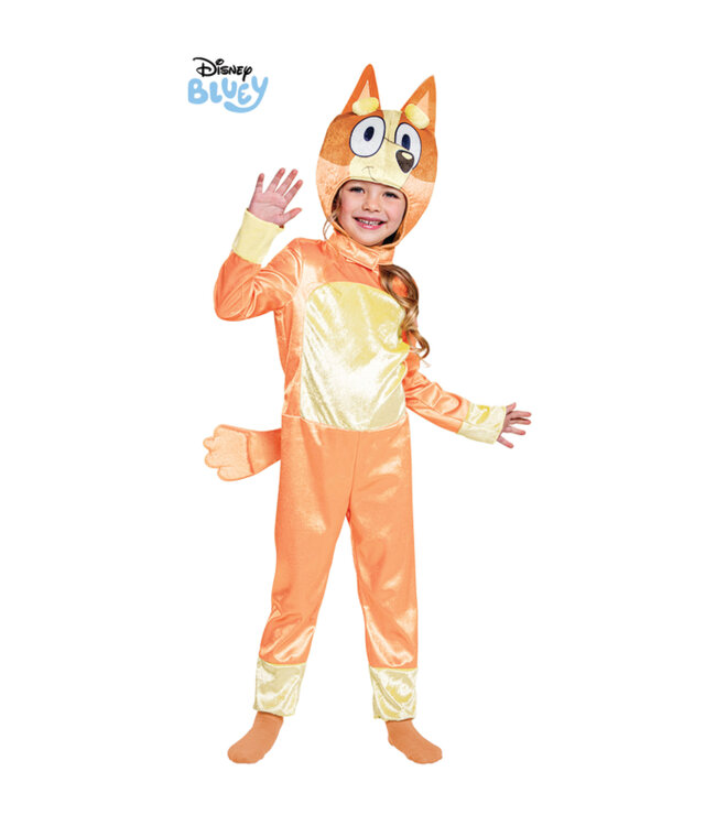 DISGUISE Bingo - Toddler