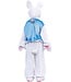 Amscan Deluxe Easter Bunny Costume - Adult