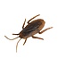 AMSCAN Cockroach Multi-pack